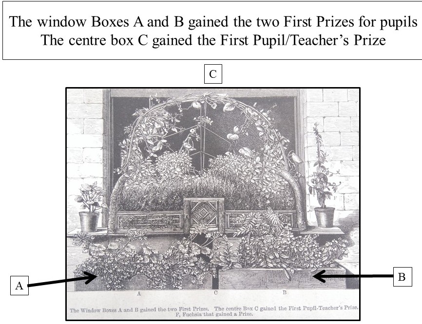 Window Boxes